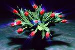 Как создали светящиеся растения Как выращивать семена люминесцентных растений